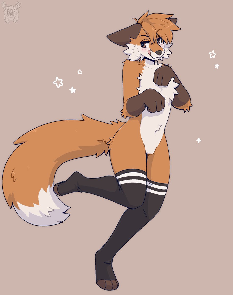 Fleurfurr's tweet photo. sly fox https://t.co/aI9qINPFW4
