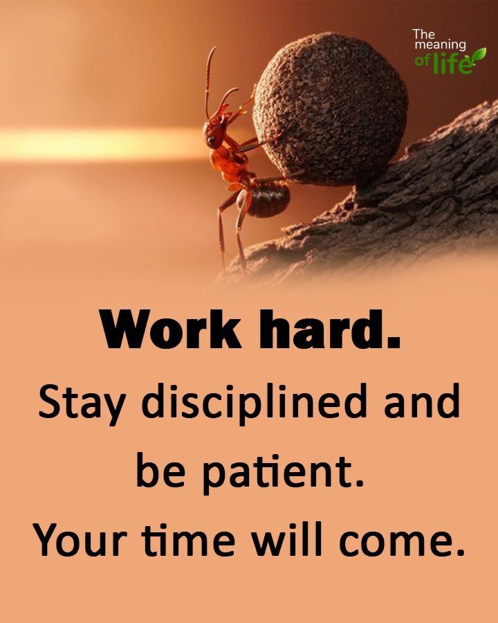 AIWithEma's tweet photo. Hard work.. https://t.co/63OPohhvWQ
