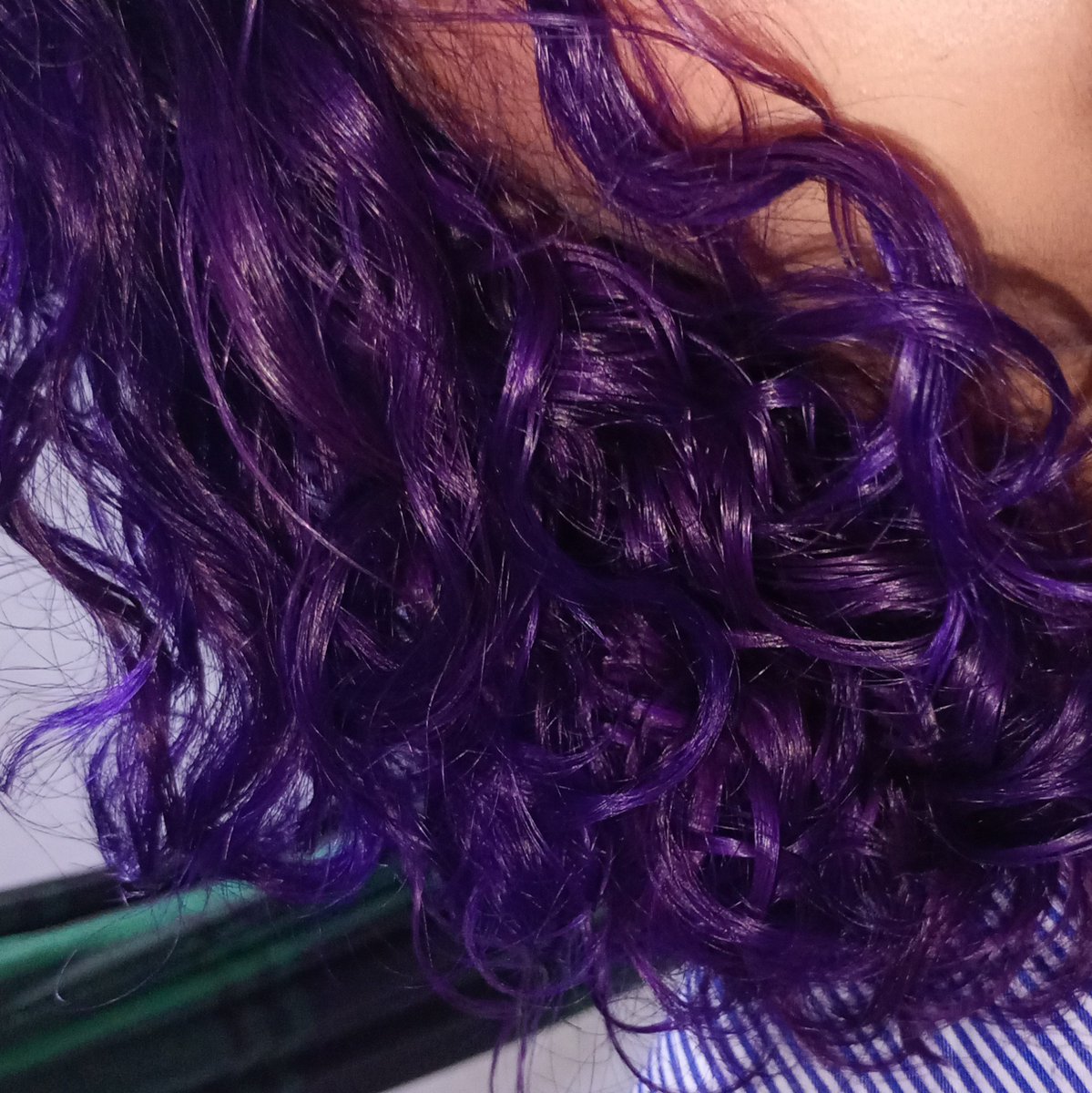 lee_pinguya's tweet photo. E ROXO💜. Já tá de noite então não dá pra mostrar muito bem, amanhã vou tirar mais fotos pra postar no insta😋 https://t.co/5SsZmUoE42