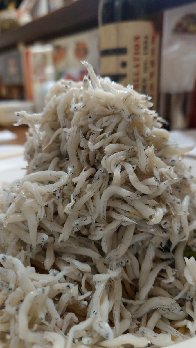 rindasan10's tweet photo. ごはーん！
恒例のパスタが見えない しらすパスタ
TNT爆弾を添えて
＃晩ご飯 ＃ごはん　＃料理　＃ワイン https://t.co/Ldw0ElItAN