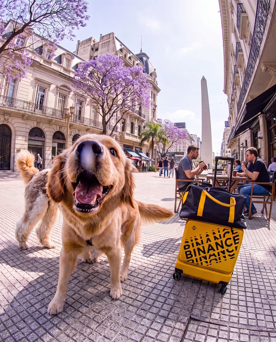 binance's tweet photo. vibes are high but binance flex is higher https://t.co/DfHF8h9vaO