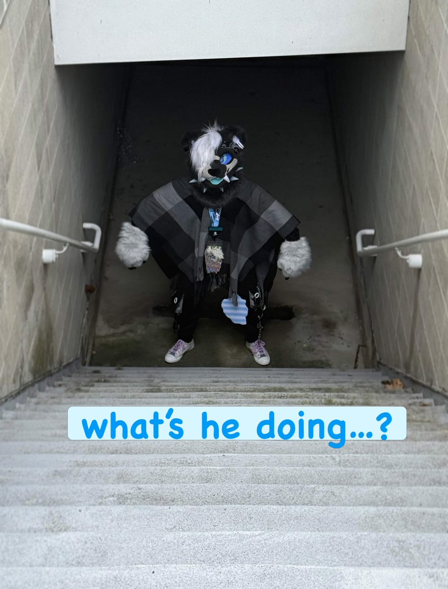 ⛓️ DAT CAT ⛓️ tweet media