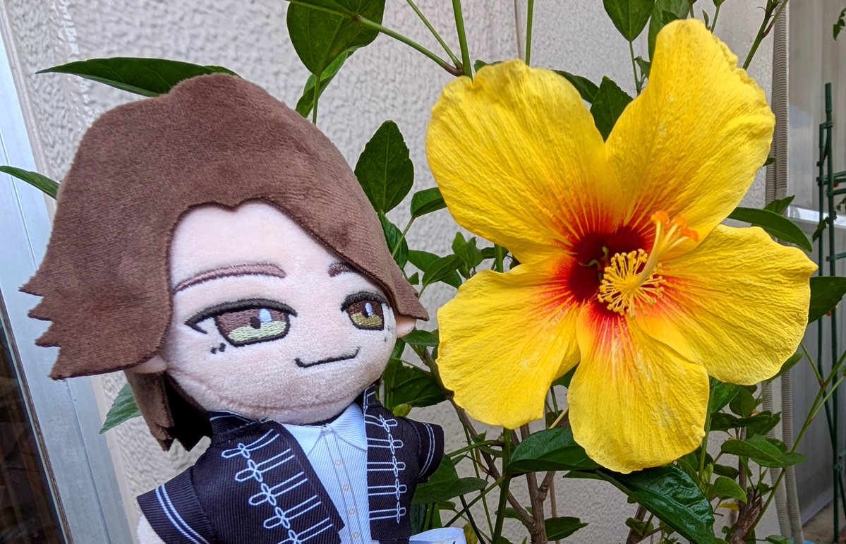 MILKYnyan's tweet photo. 一瞬来るか？と思う瞬間はあったけど昨日雨に降られなかった私はやっぱり晴れ女だと思います😊
今日も暑いねぇ🏵️ https://t.co/oOiCn8Hljv