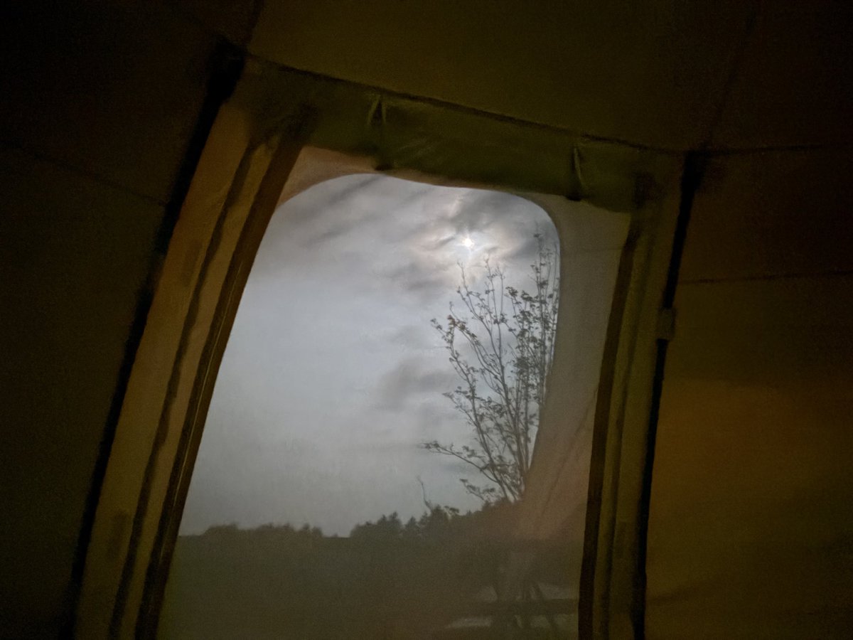 shugersei's tweet photo. 暑さも日が暮れるまで、曇りで星空は見えなかったけれどカイザーさんは家からベッド持ってきたので落ち着いて寝てくれました https://t.co/DzV8TM5BRq