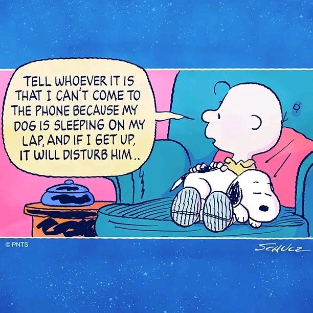 Snoopy_vibe's tweet photo. #Snoopy https://t.co/f8FaDiqsLr