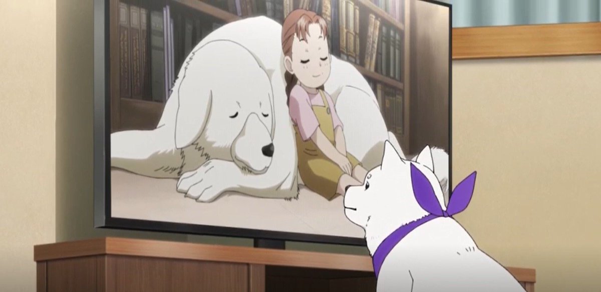 Salmin_chy's tweet photo. Comment j'aime trop ce genre de détail  mais bon sacré volonté de nuire de la part des personnes qui sont derrière l'idée de ce cameo mdrr https://t.co/Fmd6OW8n2j