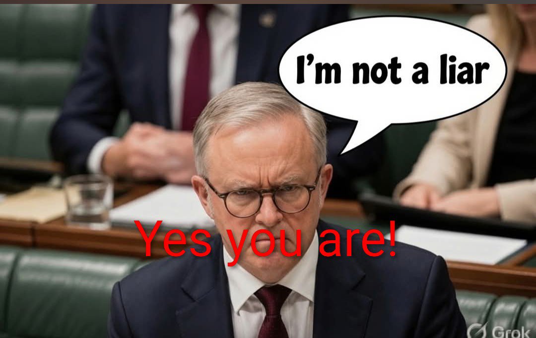 Australian Patriot. tweet media