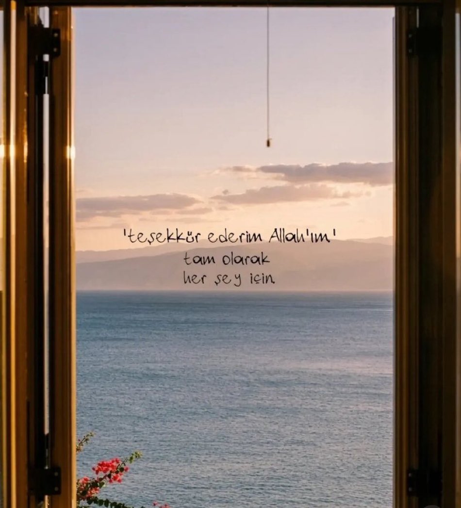 merve tweet media