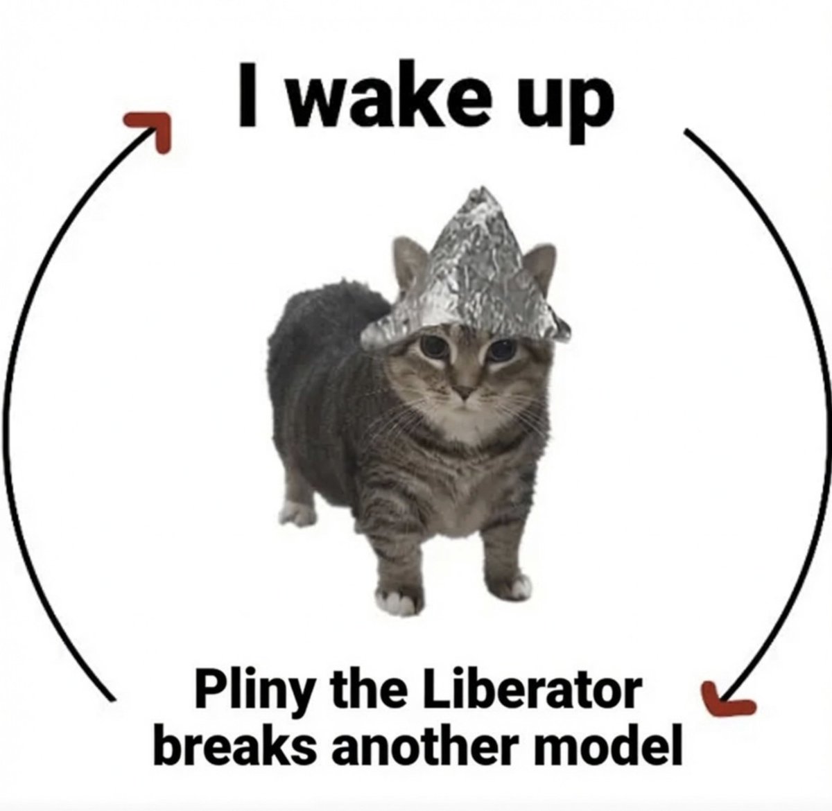 Phoenix𝕏 tweet media