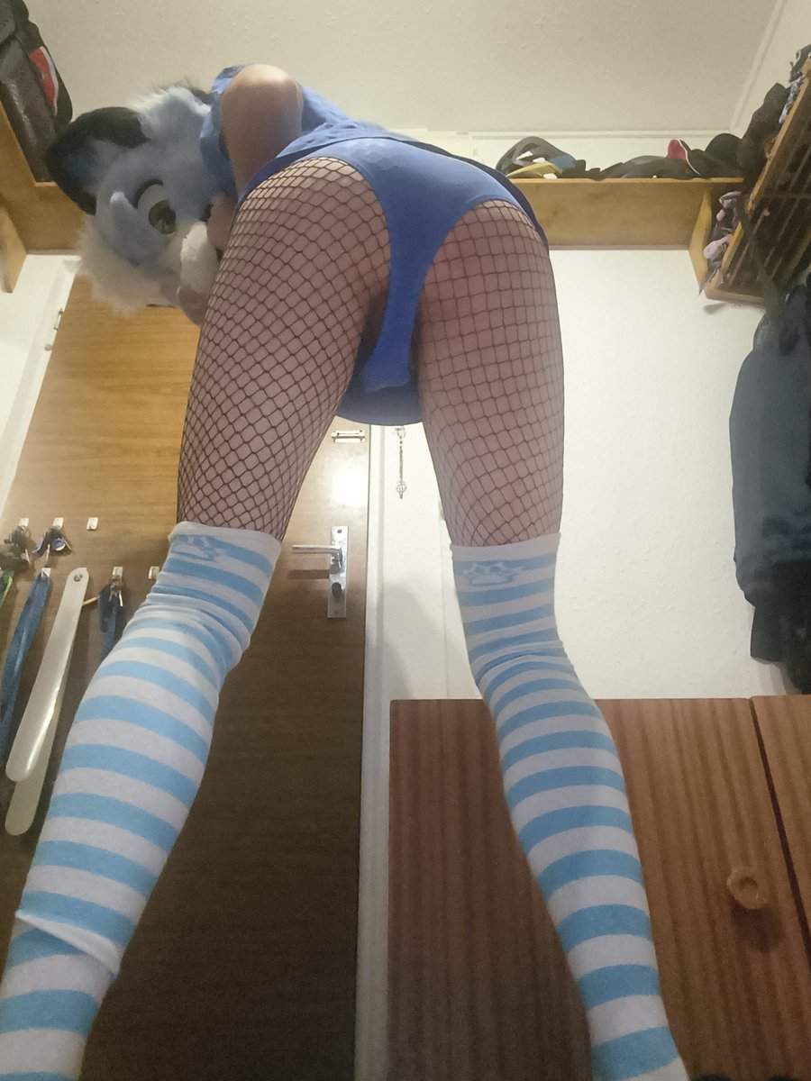 sussy_fox_AD's tweet photo. Fishneeets 🥵 https://t.co/AwSwZXiI0J