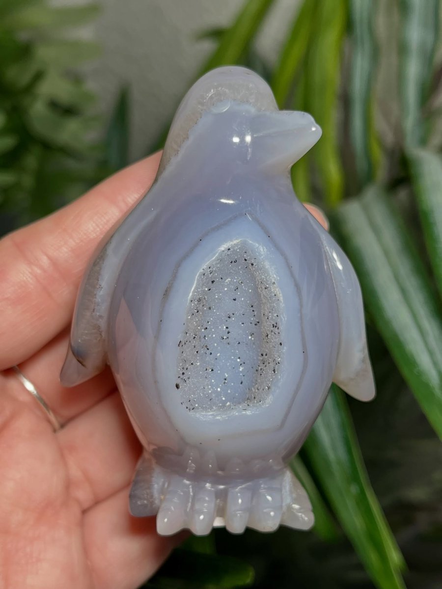soulessenctrl6's tweet photo. Fluorite Flash Sale- 15% off
ALL fluorite is on sale starting now! Shop in store until 4:00pm today or online until Tuesday 5/26. 

••I love to use fluorite for bringing in positive and uplifting energy. It’s my fav crystal to collect.… https://t.co/Gozjt3kQc9