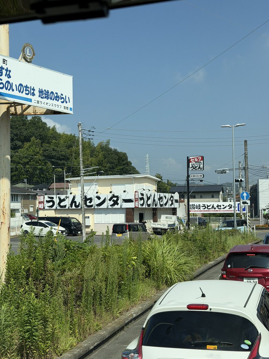 シタンディ🦄YOA’S🐉 tweet media