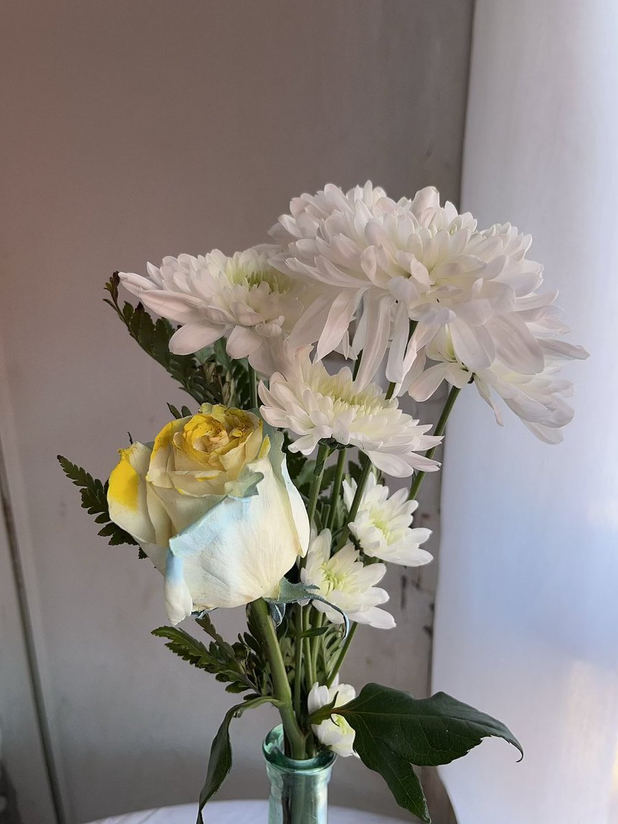 Bri_catripan's tweet photo. Una sola vez le dije a mi novio que me gustaban la flores, c/que se marchitan las últimas que me regaló aparece con un ramo nuevo y distintas🥺❤️‍🩹 https://t.co/kjF5mz3GpB