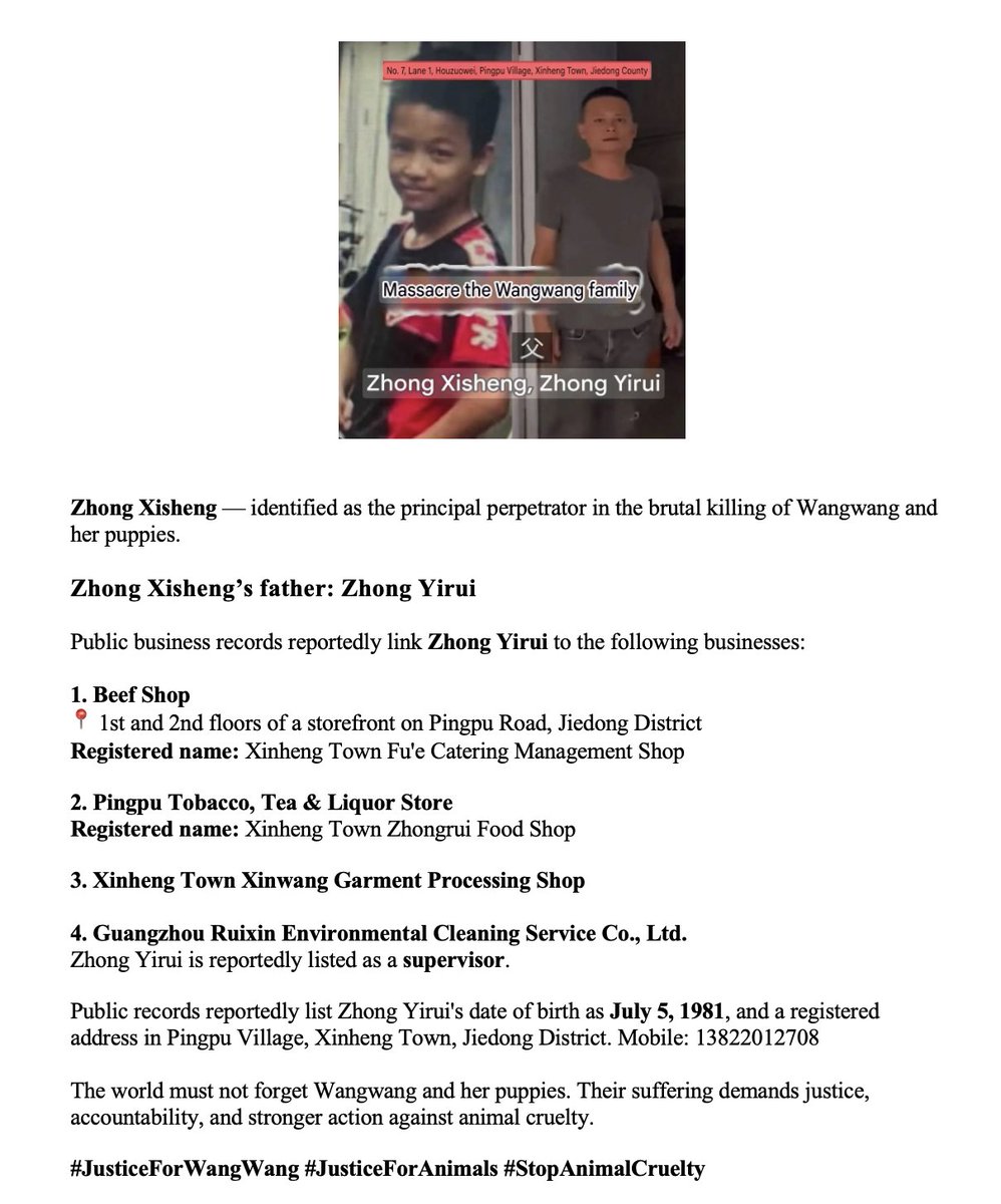 Team Wangwang 🩷🤎🤍 #JusticeforWangwang tweet media