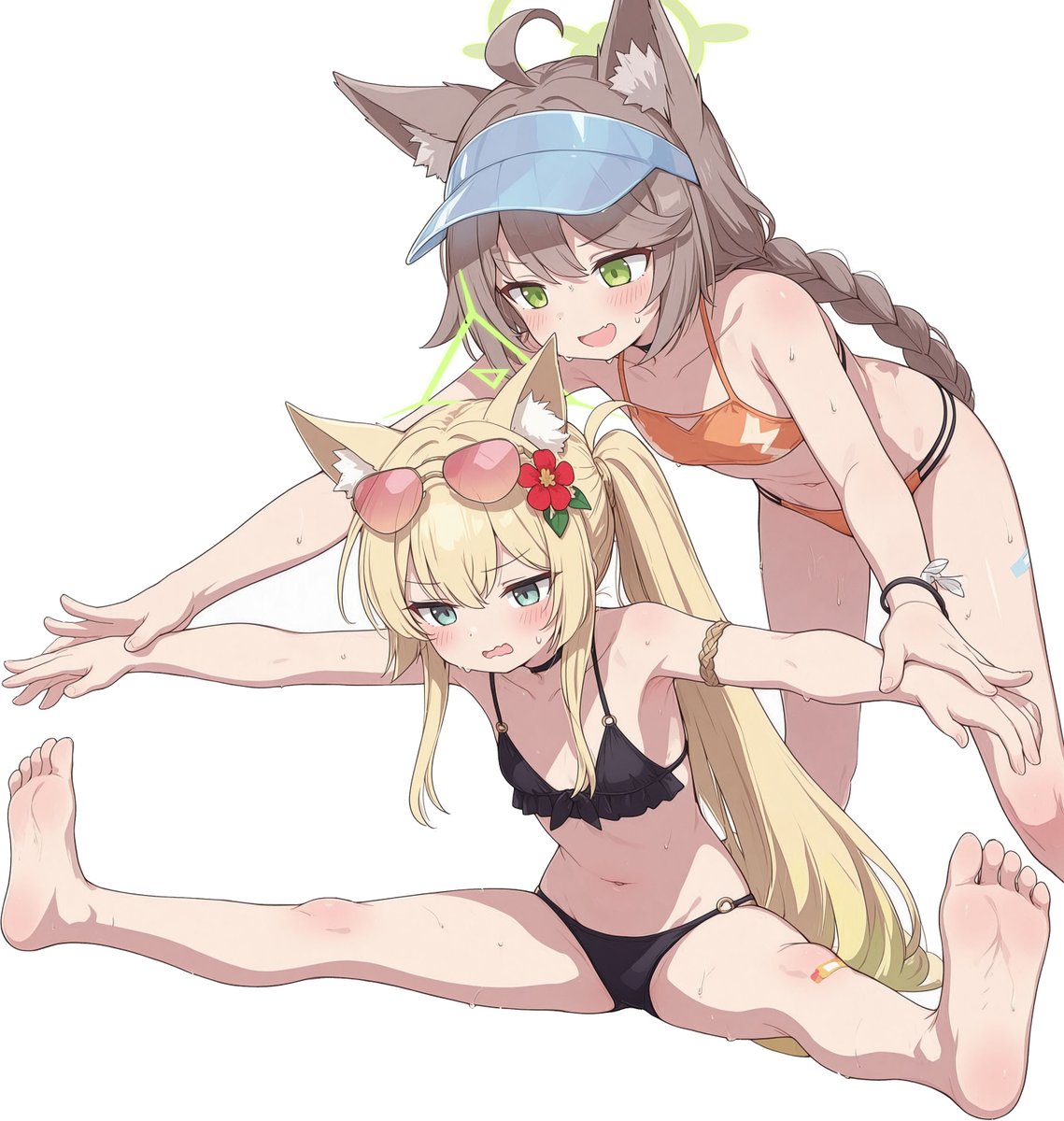 shiromamono's tweet photo. クルミとオトギのFOX式柔軟訓練 https://t.co/sNwh9iCHKM