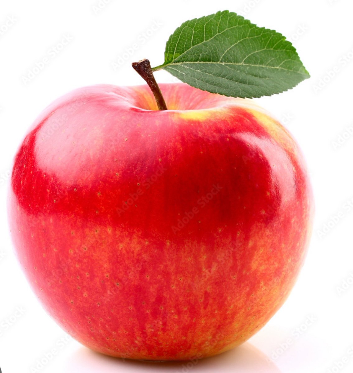 BowsherCharlie's tweet photo. You can only choose one to get rid of, (Apples, Fried egg, Butter cookies and nachos) @Blitz___99 @PeacefulYoshi7 @ayumu028 https://t.co/2apmy0nNWB