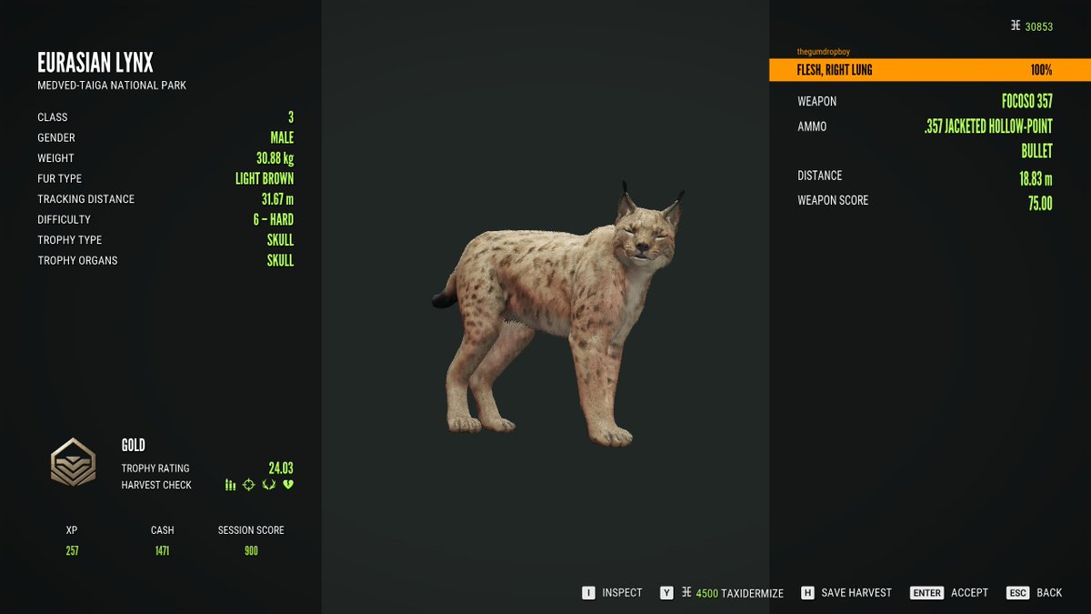 thegumdropboy's tweet photo. Just had an insane encounter in TheHunter: Call of the Wild.

Bagged my first Gold Trophy Lynx on Medved-Taiga, and immediately after harvesting I was rushed by a pack of six wolves. I don't even know how I survived but I managed to take them down. Amazing game.

#thehuntercotw https://t.co/rv91qIKExZ