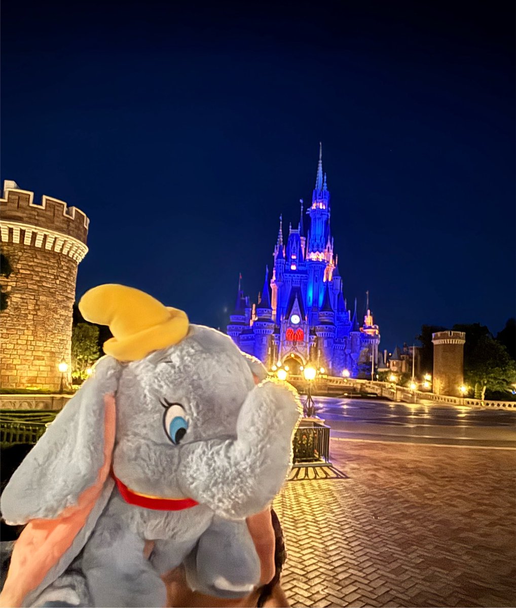 triangle_sak's tweet photo. ありえない角度からDの沼に落ちていて、人生なにがあるかわからなすぎる...ダンボちゃんってほんとにかわいくて... https://t.co/hF2riJZdWH