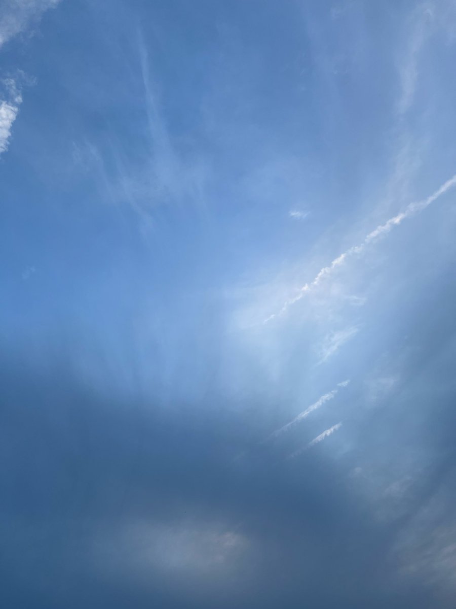 EdnaSVMalaise's tweet photo. A nice sky tonight, and so many swifts https://t.co/bhFdvUJUAM