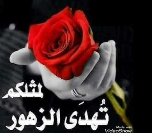 ABOSHAKER2030's tweet photo. @Kahled1266 https://t.co/LTanx2FMFw