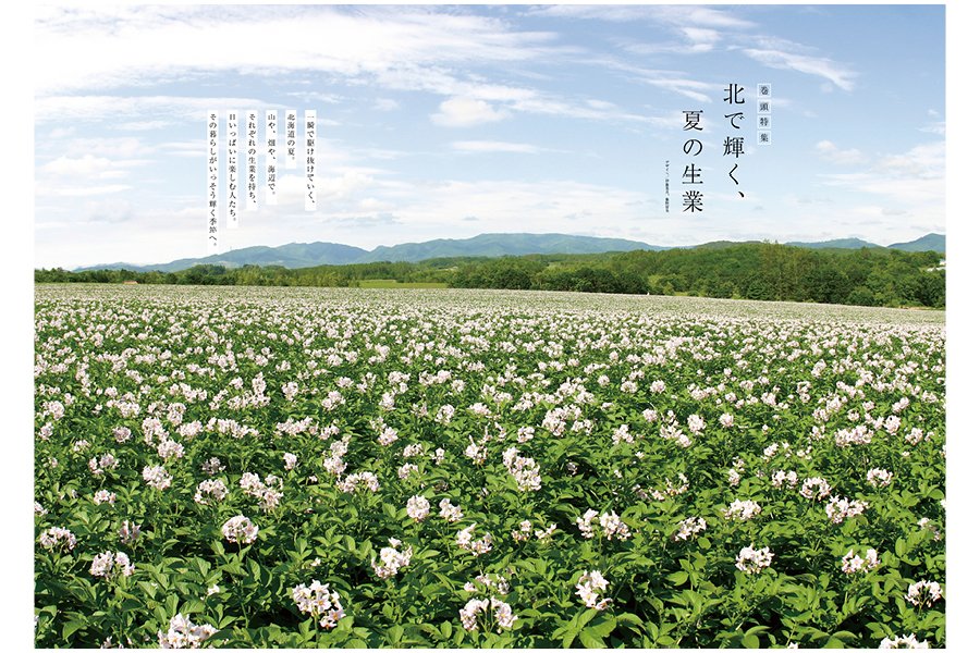 n_slow's tweet photo. ＼本日発売！スロウ7月号📚／
今号の巻頭特集は「北で輝く、夏の生業」。 北海道の短い夏だからこそ輝く、季節感たっぷりの仕事や暮らしにスポットを当てました！目いっぱい働き、思いきり楽しむ。 そんな北国ならではの暮らしのヒントが詰まった一冊、詳細はこちらから😊🌱
https://t.co/3QzUeXIHhJ https://t.co/LnpwEStkMK