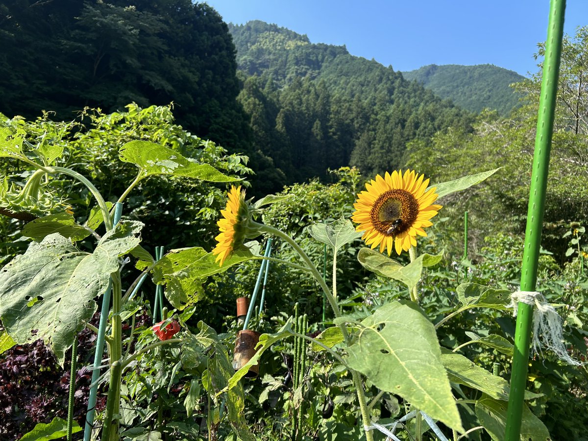 Hou1323's tweet photo. 本日の鍛錬の成果 https://t.co/niLAJSMeI7