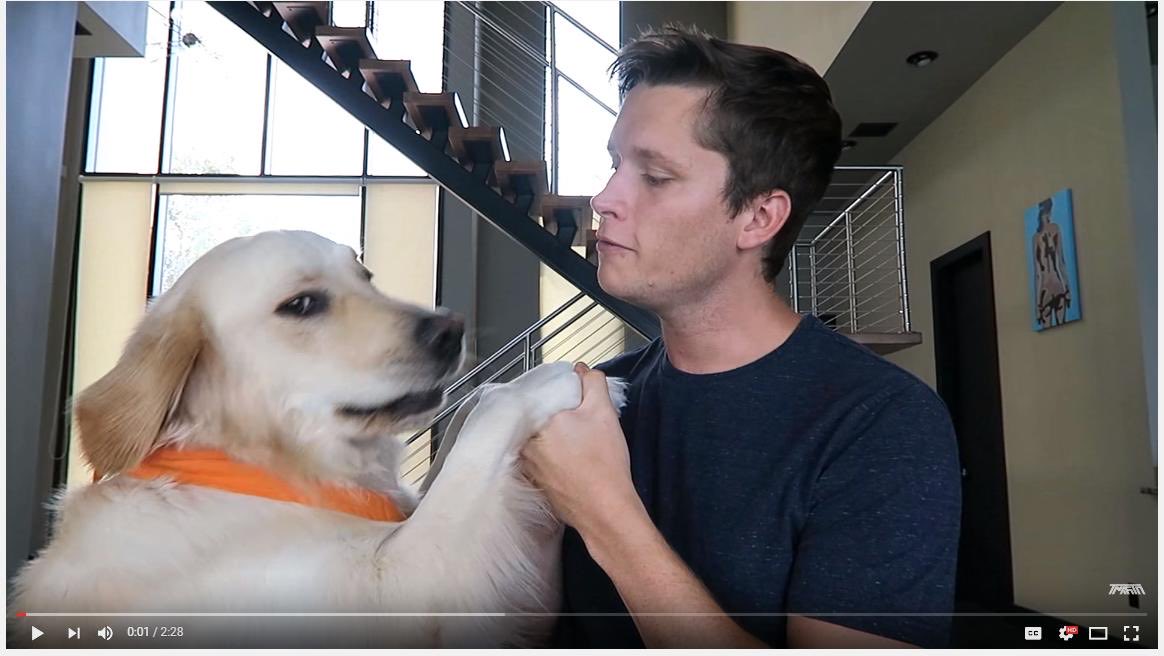 BengalYouTube's tweet photo. Same vibe https://t.co/tM7OPXVLNT