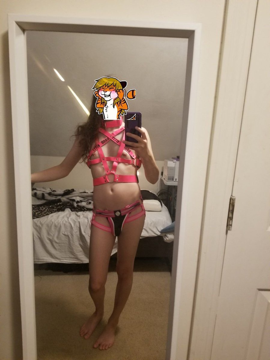 KinkCalico's tweet photo. I got a new harness commissioned, what do you think? :3 #harness #femboy #twink #18plus #adult #furrynsfw #goodgirl #goodkitty https://t.co/ApGwkCgcp3
