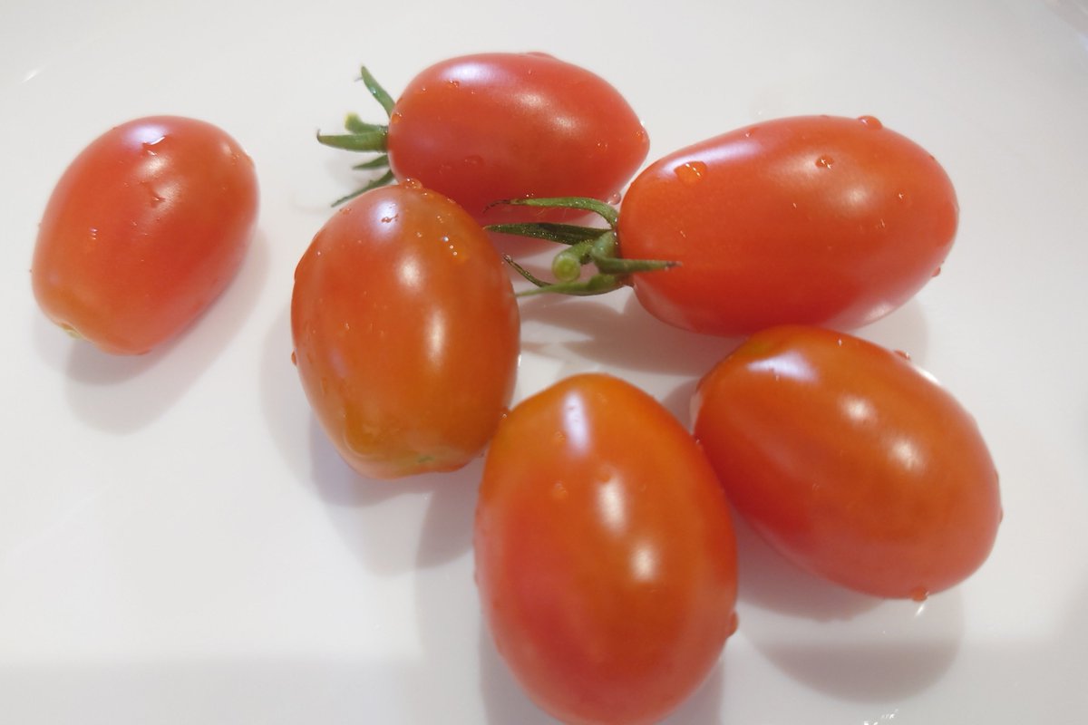 HARUFA_v's tweet photo. よきよき🍅 https://t.co/bo3VUsZGdA