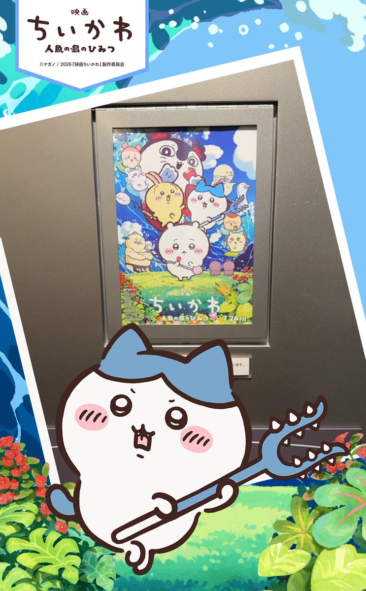 金(ジン)@ tweet media
