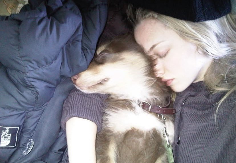 seyfried_spain's tweet photo. RECUERDOS📸|| Amanda Seyfried comparte fotos de su perro Finn via Instagram Stories🥺 https://t.co/9W057oV3Bq