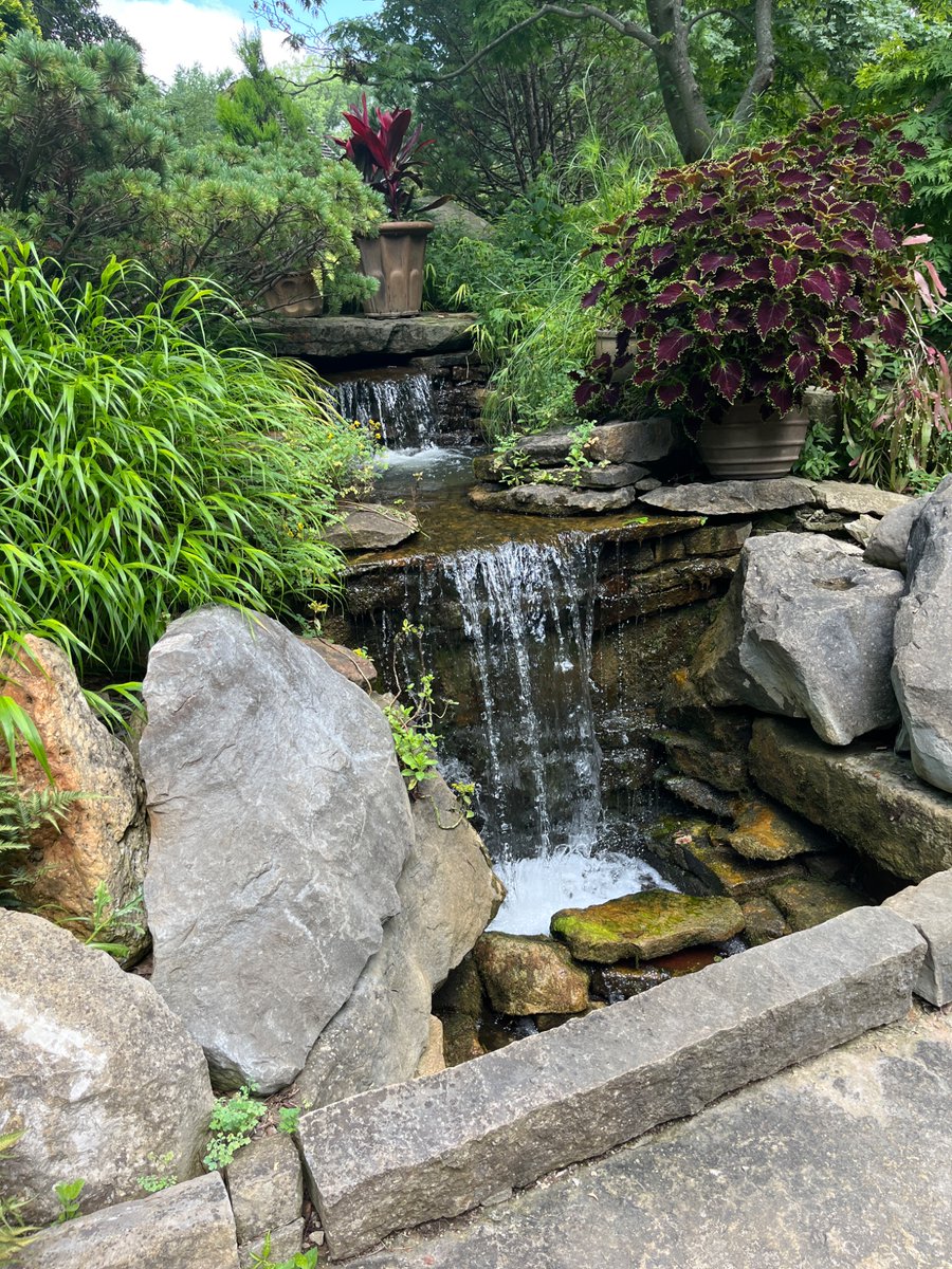 opal_noire_'s tweet photo. I submitted my dissertation this week so I took the next day off. I didn't want to just sit around especially since it was perfect weather. I searched for things to do in my area and chose a metro garden park. It was beautiful and (mostly) peaceful. (1/2) https://t.co/O57hmsuPwn