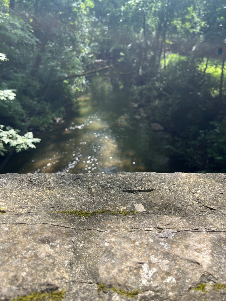 opal_noire_'s tweet photo. I submitted my dissertation this week so I took the next day off. I didn't want to just sit around especially since it was perfect weather. I searched for things to do in my area and chose a metro garden park. It was beautiful and (mostly) peaceful. (1/2) https://t.co/O57hmsuPwn