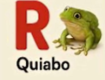Taynor_s2's tweet photo. Amelie qnd decide falar no wsmp: https://t.co/6Um353ae6k
