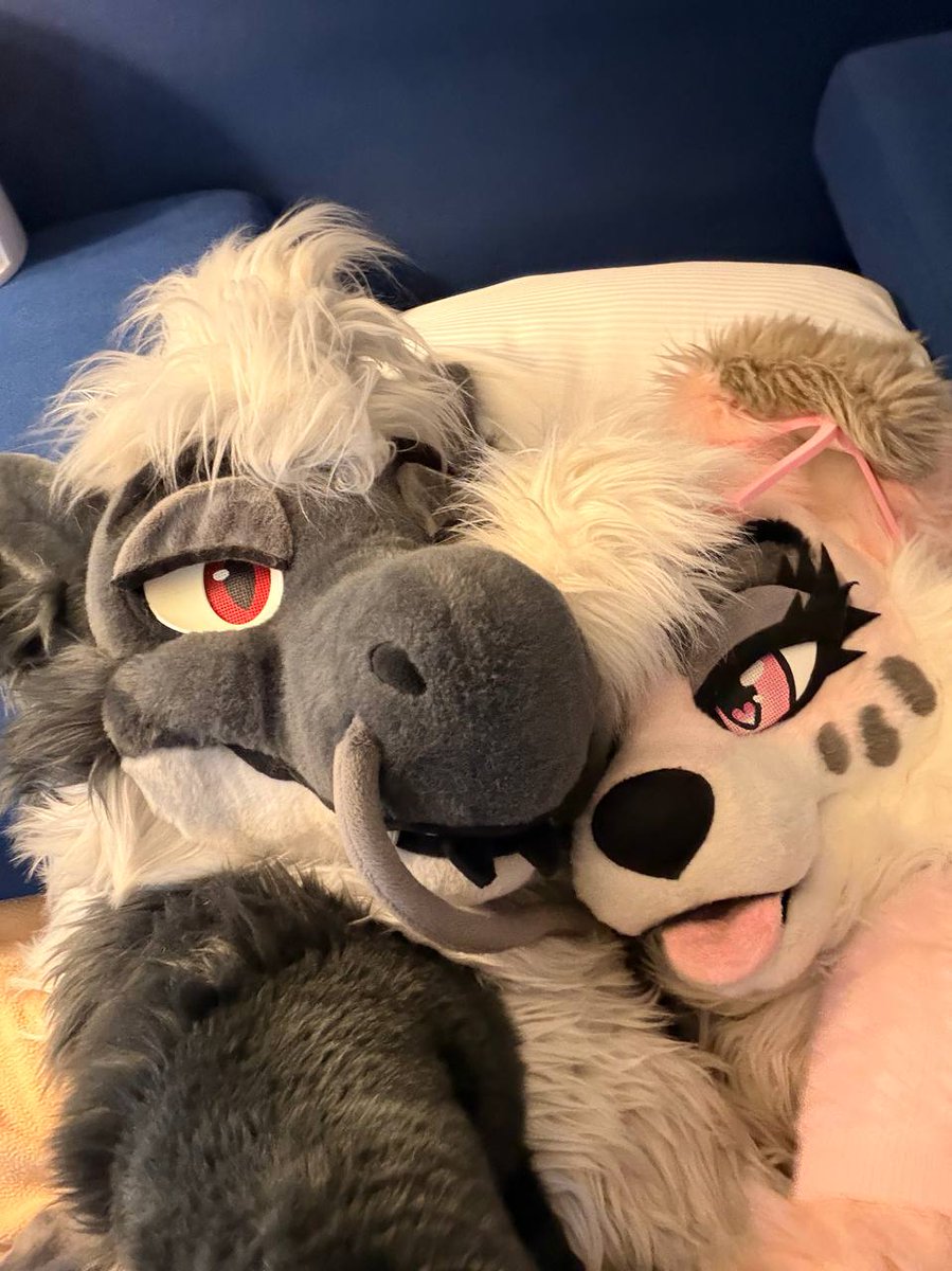 AttorDragon's tweet photo. Pink and grey really combo so well in my eyes~ 

@PinkMarbleDog 

#fursuitfriday #furry #dragon https://t.co/qf6crocEfy