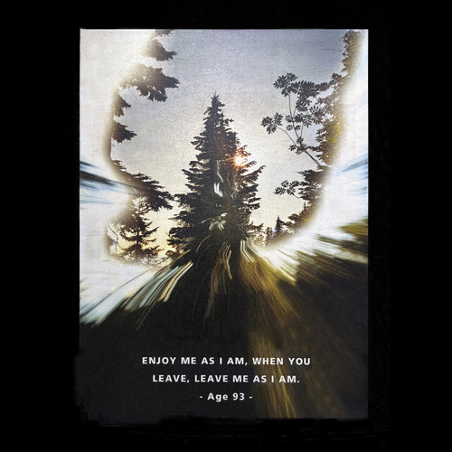SacredStills's tweet photo. Exciting news… Select artworks from my #ErodedOrigins series will be published in Tbilisi, Georgia in a Book and Online Exhibition called: Silenced.
1. Listen 2. I am 3. Kindness 4. Peace 5. Stars 6. Gratitude + Animations,
#internationalart #ecoart #climateart #climateartist https://t.co/7hdNcUdZU8