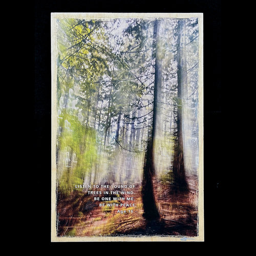 SacredStills's tweet photo. Exciting news… Select artworks from my #ErodedOrigins series will be published in Tbilisi, Georgia in a Book and Online Exhibition called: Silenced.
1. Listen 2. I am 3. Kindness 4. Peace 5. Stars 6. Gratitude + Animations,
#internationalart #ecoart #climateart #climateartist https://t.co/7hdNcUdZU8