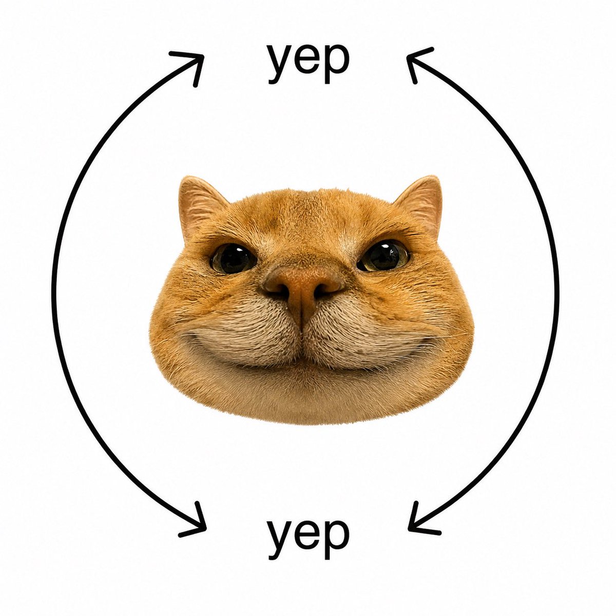 theyepcat's tweet photo. yep yep repeat https://t.co/8GBMPU8Hfx