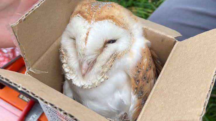 SavosAndSavos's tweet photo. Amazon got my order wrong AGAIN!!!! https://t.co/0MIDEnB29V