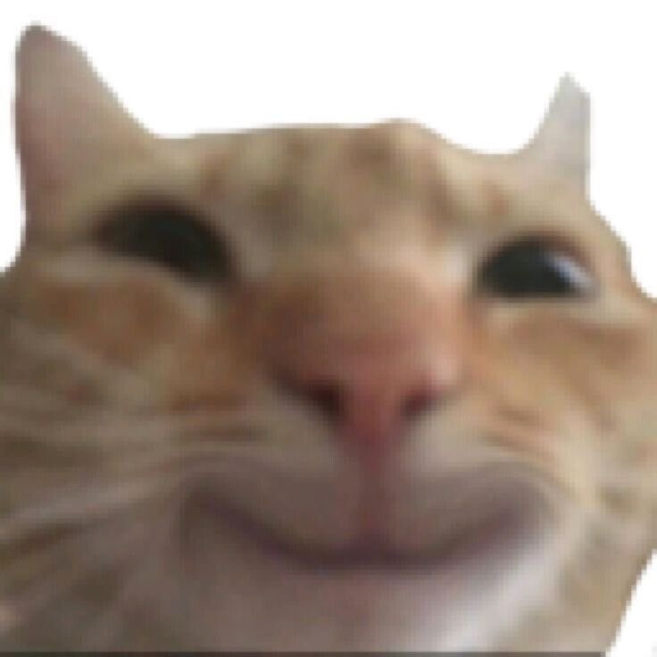 sadedoner's tweet photo. Son birkaç saattir yüzümde söyle bi ifade var https://t.co/3Z7R3K5k8L