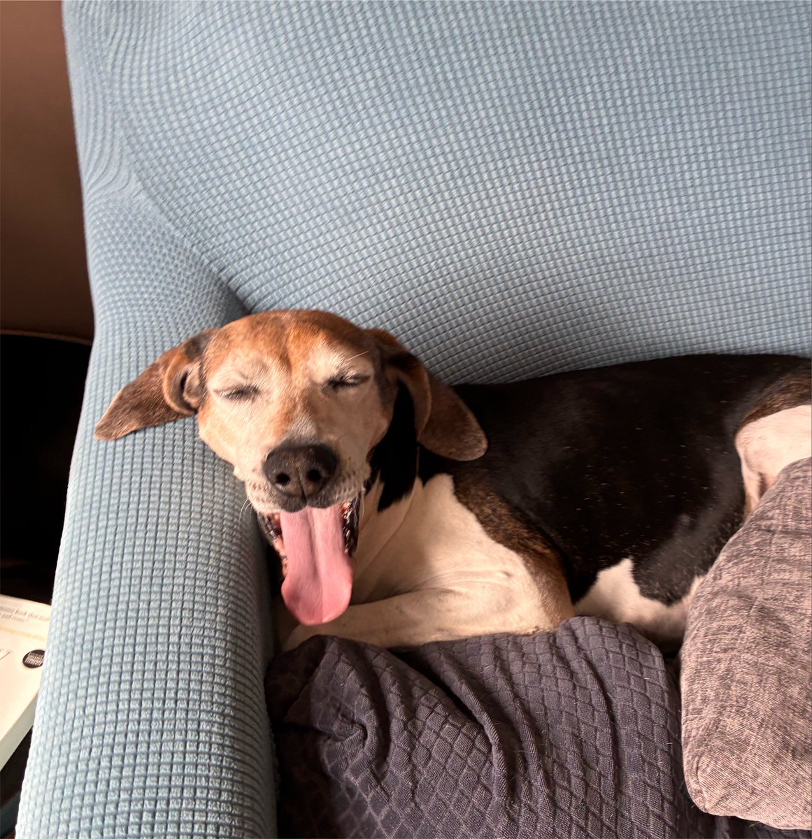 cartbog's tweet photo. got to see emma today :) https://t.co/nOzFdOJcA2