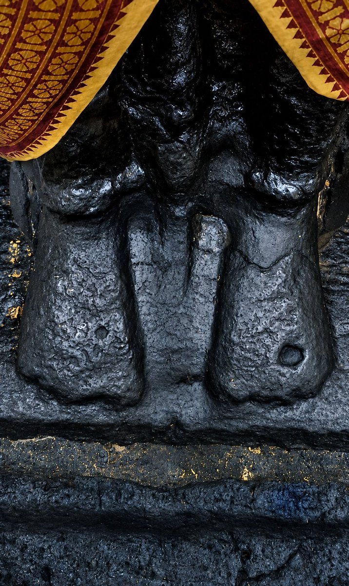 AnuSatheesh5's tweet photo. Lotus feet of Panduranga Vitthal to bless you on this Ekadasi 

Only temple where one can touch feet of Vitthal https://t.co/DA1xlmYgwG