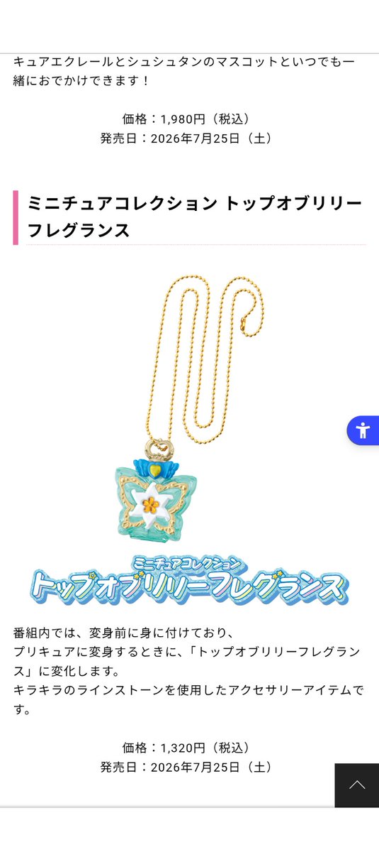 Amazonで買えなかったこれを買いたいのだ！