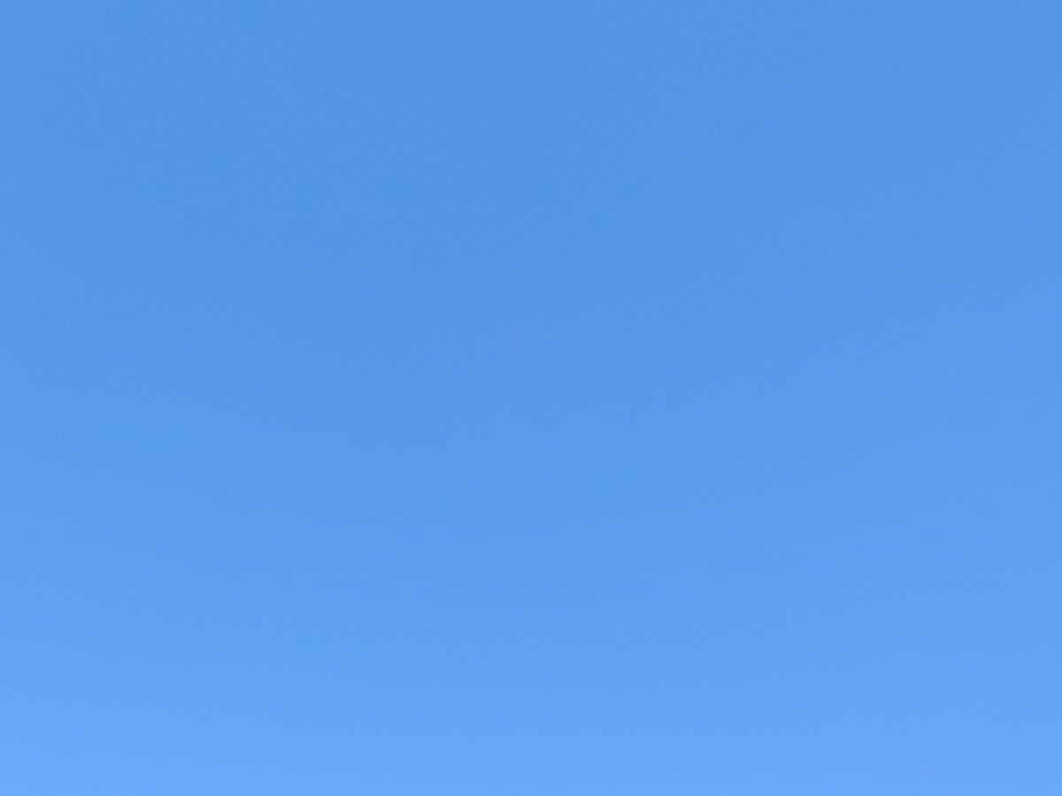 Soul_a_Mimi's tweet photo. 雲一つない青空がこんなにも恐ろしく憎らしいものだとは https://t.co/as0ikp8wpk