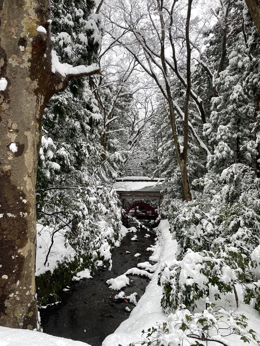 taf_98_'s tweet photo. 上半期のタフトでのドライブ記録でも置いとこう🚗³₃

2月弥彦神社⛄️ https://t.co/RIFjWrZDXx