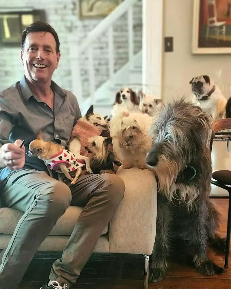 AcervoCharts's tweet photo. Homem adota os animais mais rejeitados dos abrigos para que eles conheçam o amor antes de partir.

Steve Greig já adotou cães idosos, gatos, galinhas, patos, porcos e outros animais que ninguém escolheu. https://t.co/0tN5RLo6r9