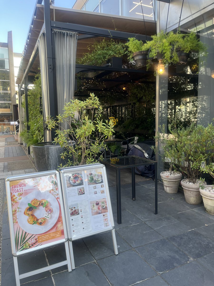 _wanwarata's tweet photo. 青山のグリーンハウス🌻
店内にたくさんの向日葵の生花があって
目でも癒された⭐️💕
ローズマリーのポテト美味しかったの🍟 https://t.co/vebvSuTPRI