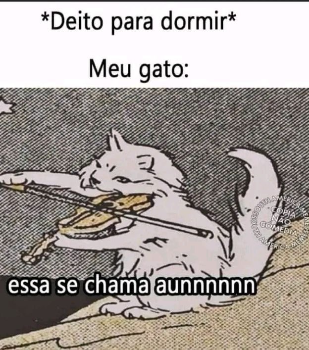shitpostverdade's tweet photo. https://t.co/KLEJvem15U