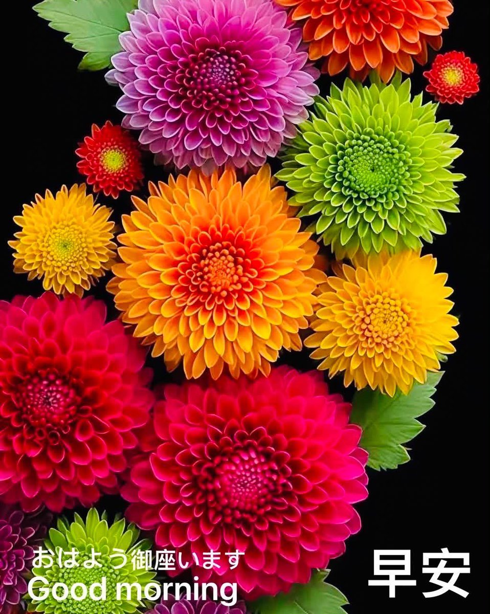 RayTam323's tweet photo. @_knic https://t.co/KG83aTF2hA