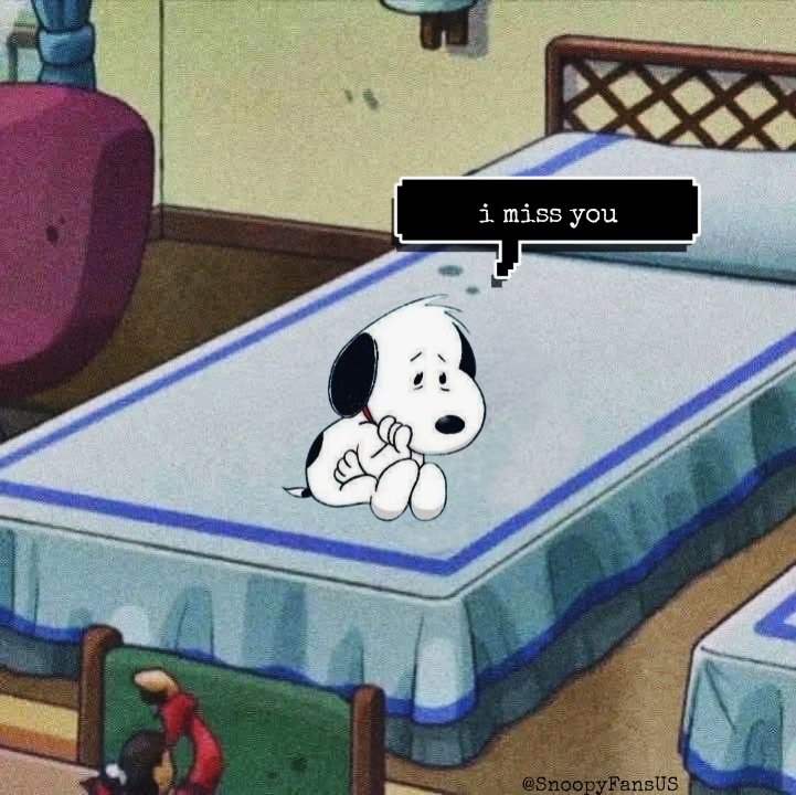 SnoopyFansUS's tweet photo. Mood! https://t.co/tmAyR6wqy3